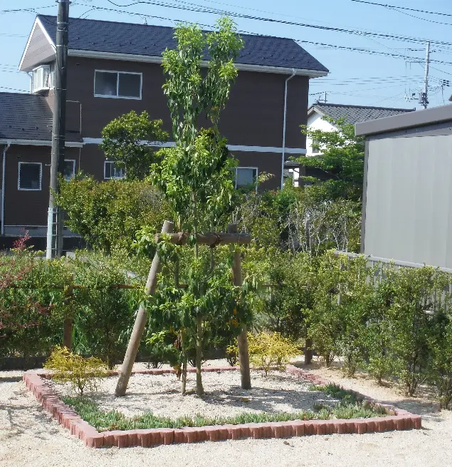 ふくしまの未来を育む森と住まいのポイント事業 | 一般社団法人福島県造園建設業協会